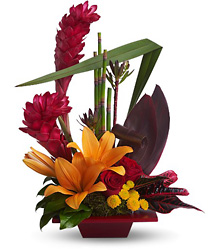 Tropical Bliss from Clermont Florist & Wine Shop, flower shop in Clermont